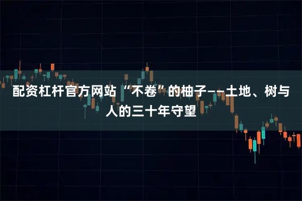 配资杠杆官方网站 “不卷”的柚子——土地、树与人的三十年守望