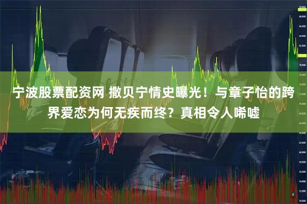 宁波股票配资网 撒贝宁情史曝光！与章子怡的跨界爱恋为何无疾而终？真相令人唏嘘